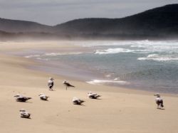 I took this photo whilst doing a Pacific road trip from B... by Laura Whittaker 